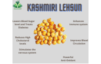 Kashmiri Lehsun - Snow Mountain Garlic
